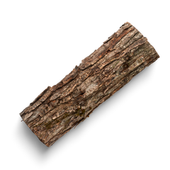 Cedarwood