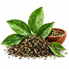 Mate Tea