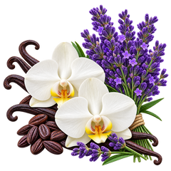 White Musk, Patchouli 
