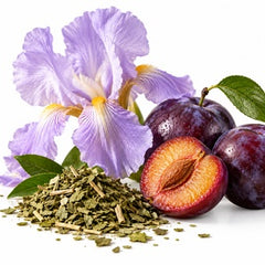 Maté Tea, Powdery Iris, Plum, 