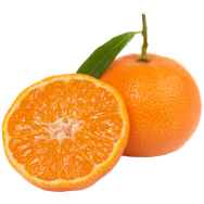 Mandarin Orange