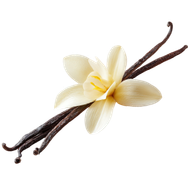 Vanilla