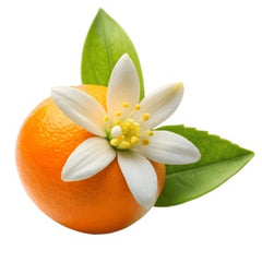 Orange Blossom